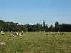 da ist wohl was schiefgegangen :-)